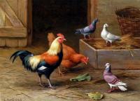 Edgar Hunt - Chickens Pigeons And A Dove